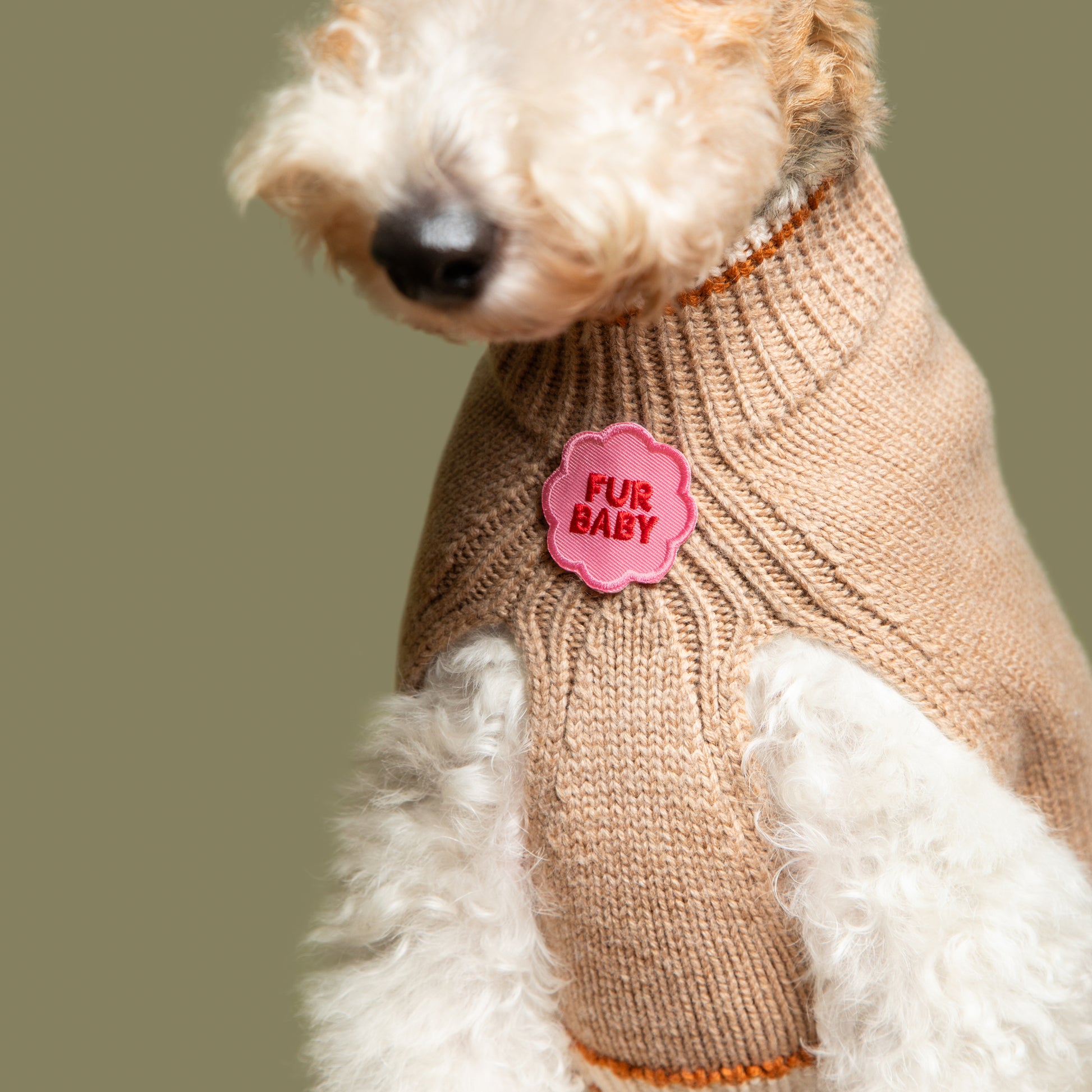 Scout's Honour Fur Baby -silitettävä kangasmerkki koiralle ja kissalle