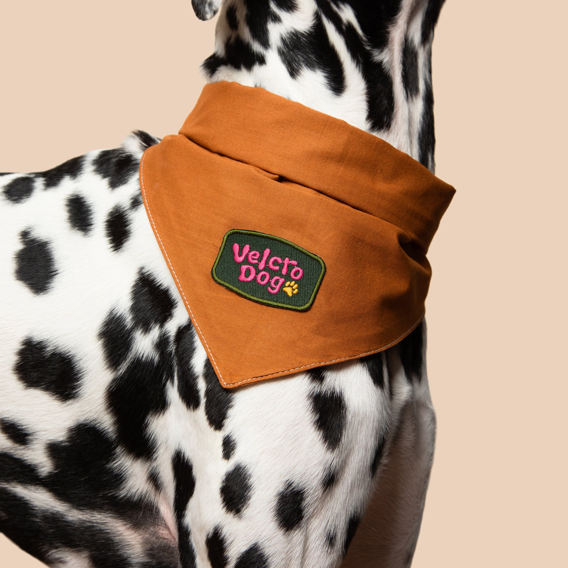 Partiohuivi lemmikille, rust