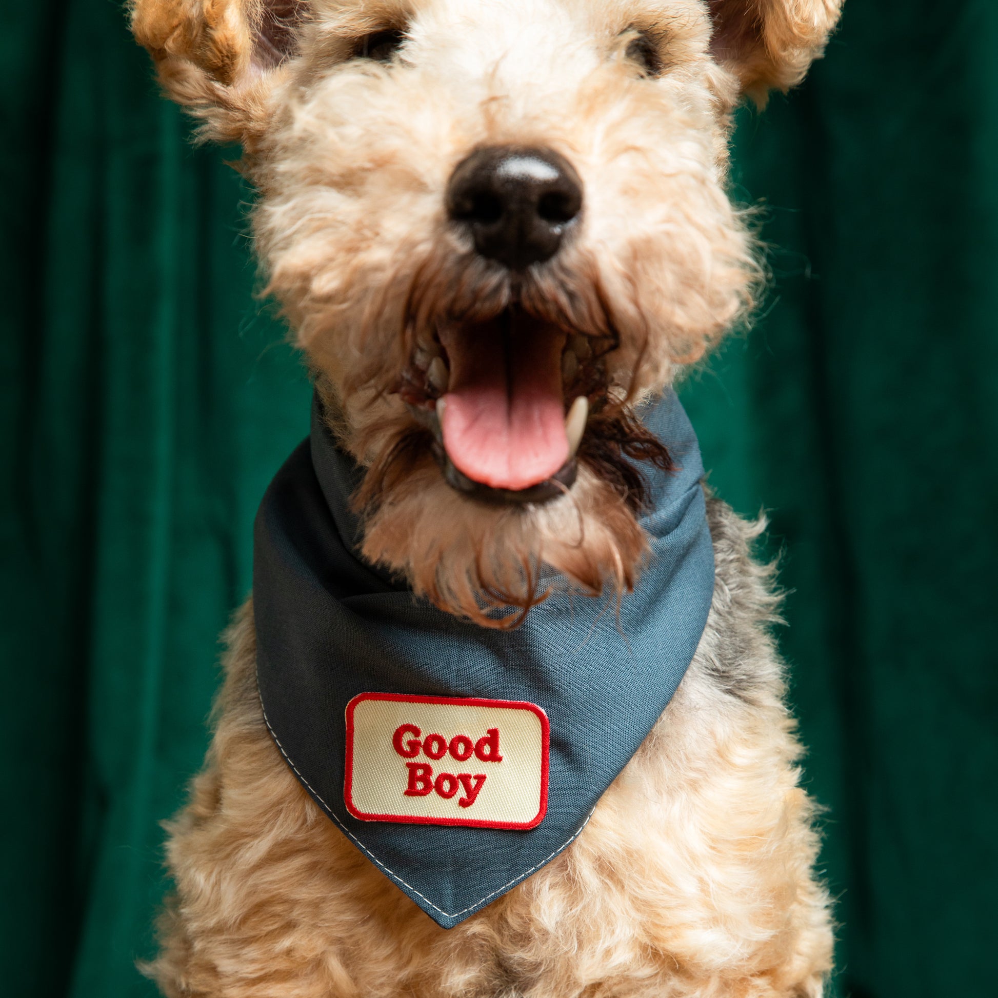 Scout's Honour Good Boy -silitettävä kangasmerkki koiralle