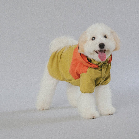 CushyCushy All - weather - koiran sadetakki, oranssi