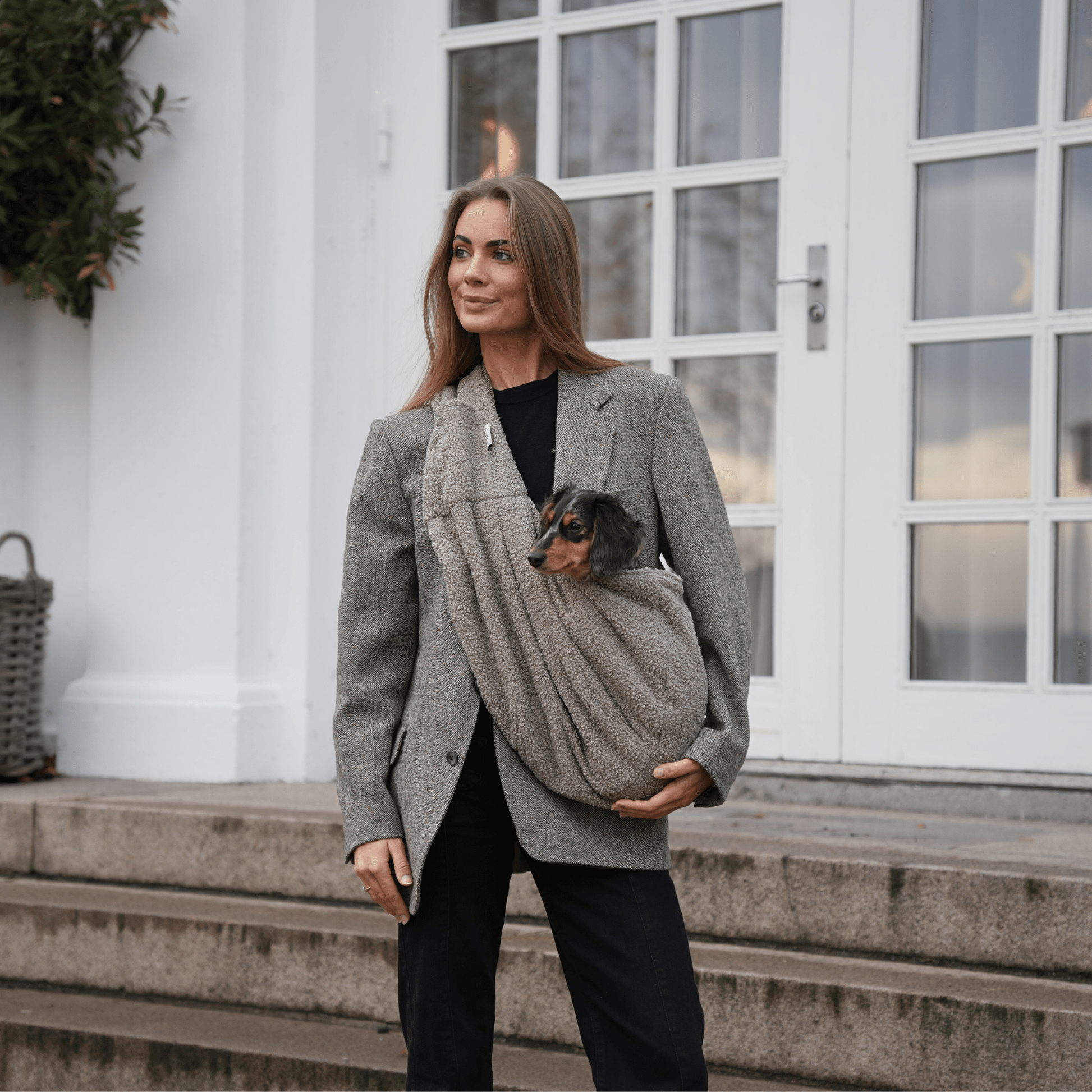 Staey Ava - koiran kantolaukku