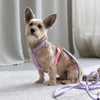 Dog Harness, lavender and pink