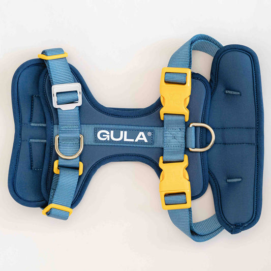 Dog harness, blue & yellow