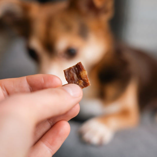 Dog treats, 100% rabbit