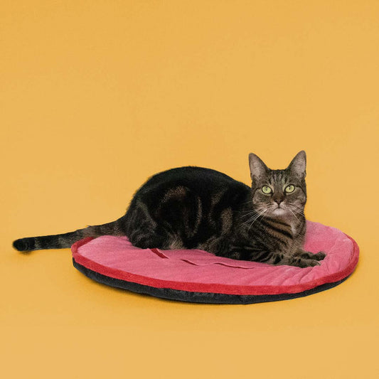 Coockoo Big Smile - makoilualusta, pinkki