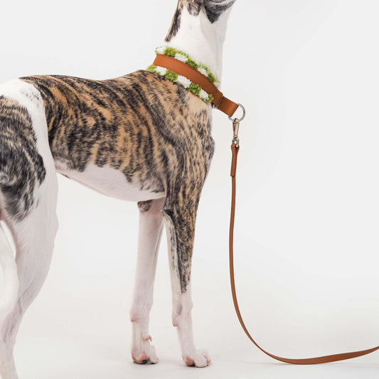 KOIRALIKKA Biothane - hihna, ruskea