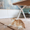 Tail Cat Toy