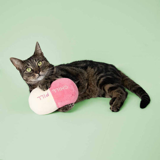 Coockoo Chill Pill -kissanminttu potkutyyny kissalle