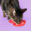Coockoo Cupid's Cravings -nuolumatto Kissat