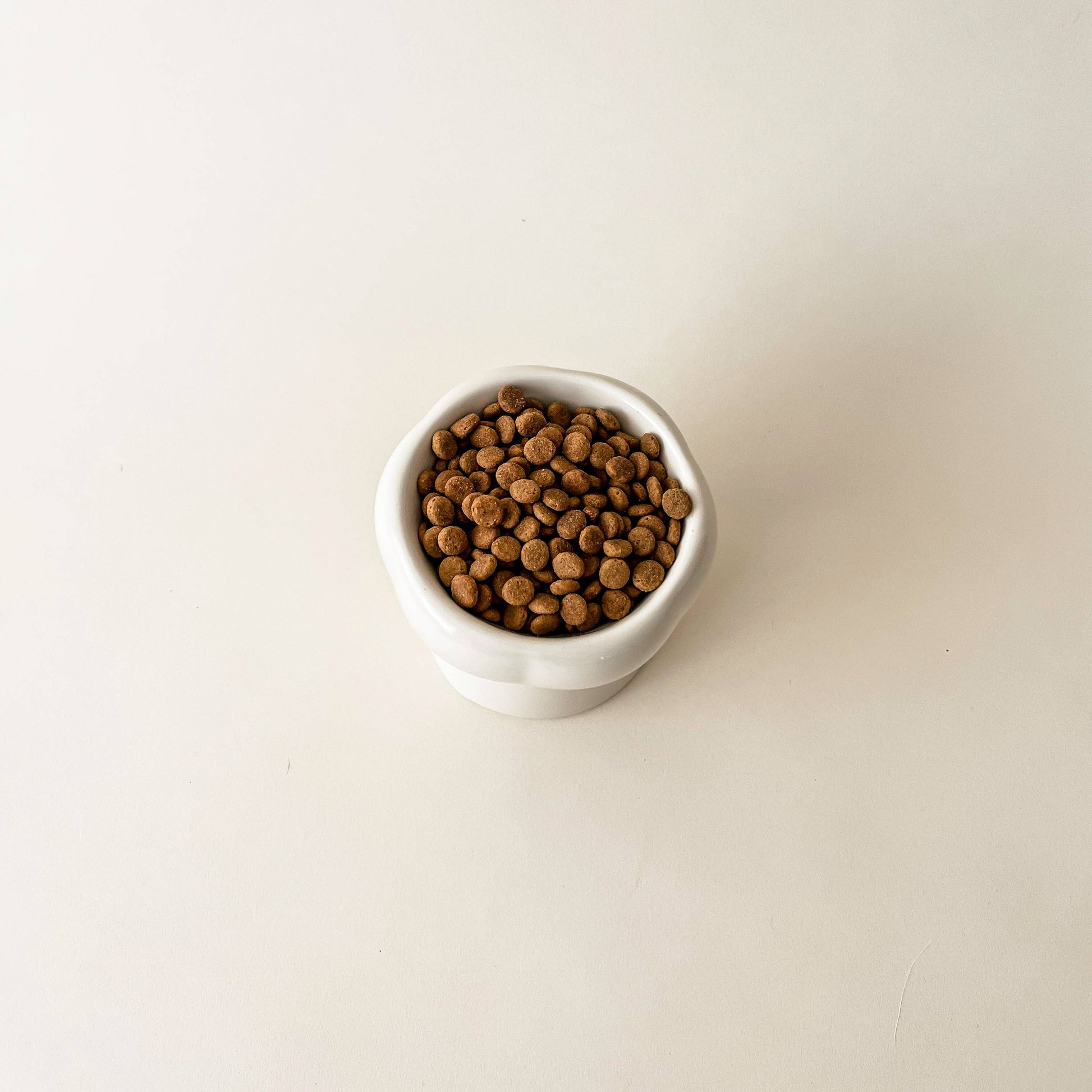 Ecocat Creamy - korotettu ruokakuppi kissalle