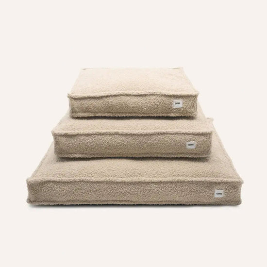 CAFIDE Cuadra - koiranpeti, beige
