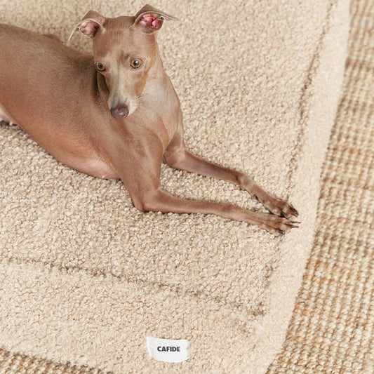 CAFIDE Cuadra - koiranpeti, beige