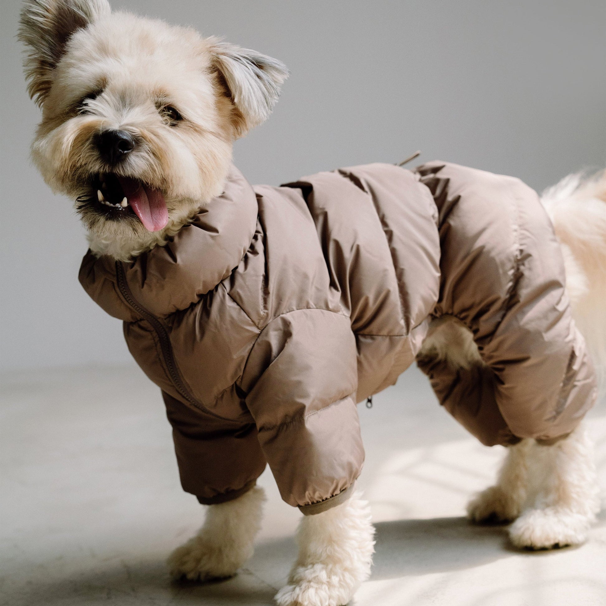 CushyCushy Cushy Puffer haalari, kahvi