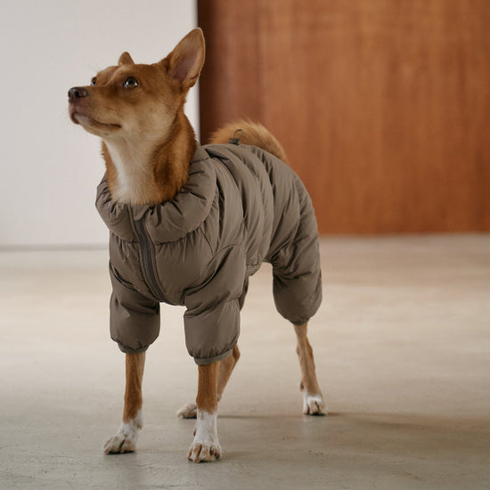 CushyCushy Cushy Puffer haalari, kahvi