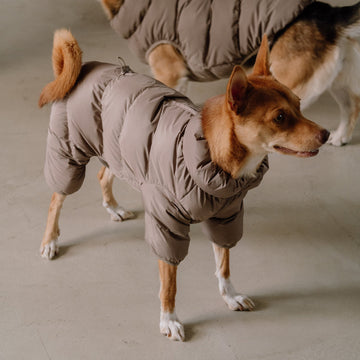 CushyCushy Cushy Puffer haalari, kahvi