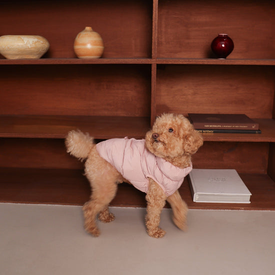 CushyCushy Cushy Puffer liivi, vaaleanpunainen