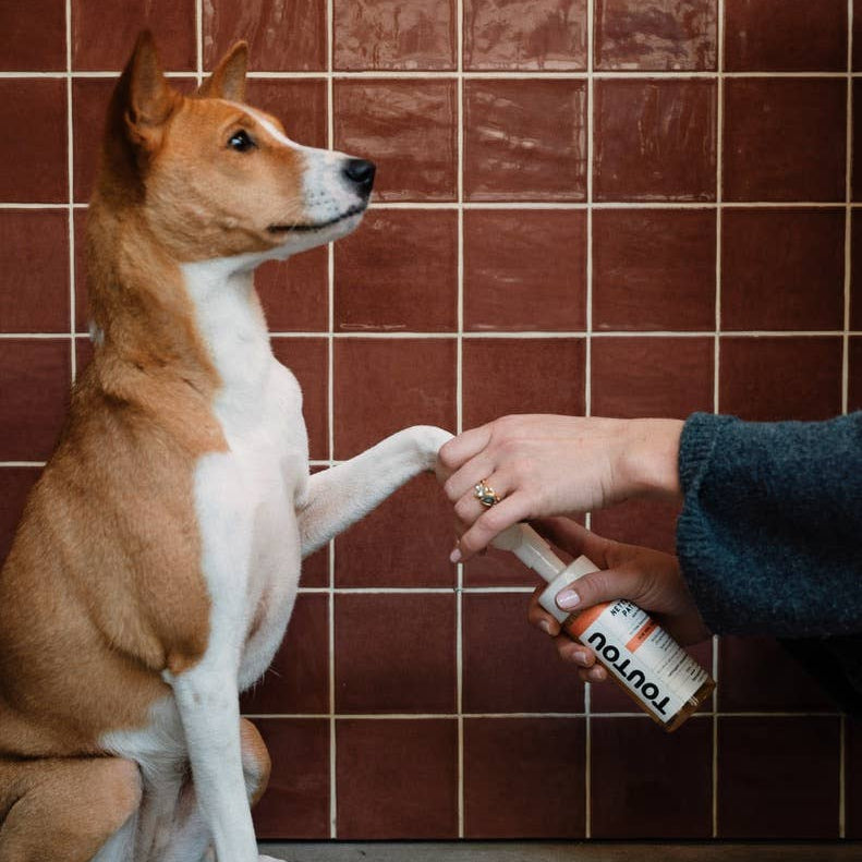 Täytettävä tassupuhdistusainepullo