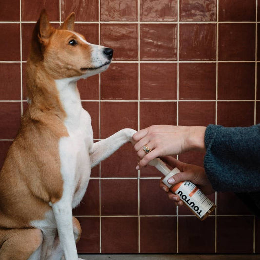 Täytettävä tassupuhdistusainepullo