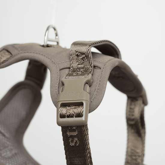 Staey Elma Active - valjaat, taupe