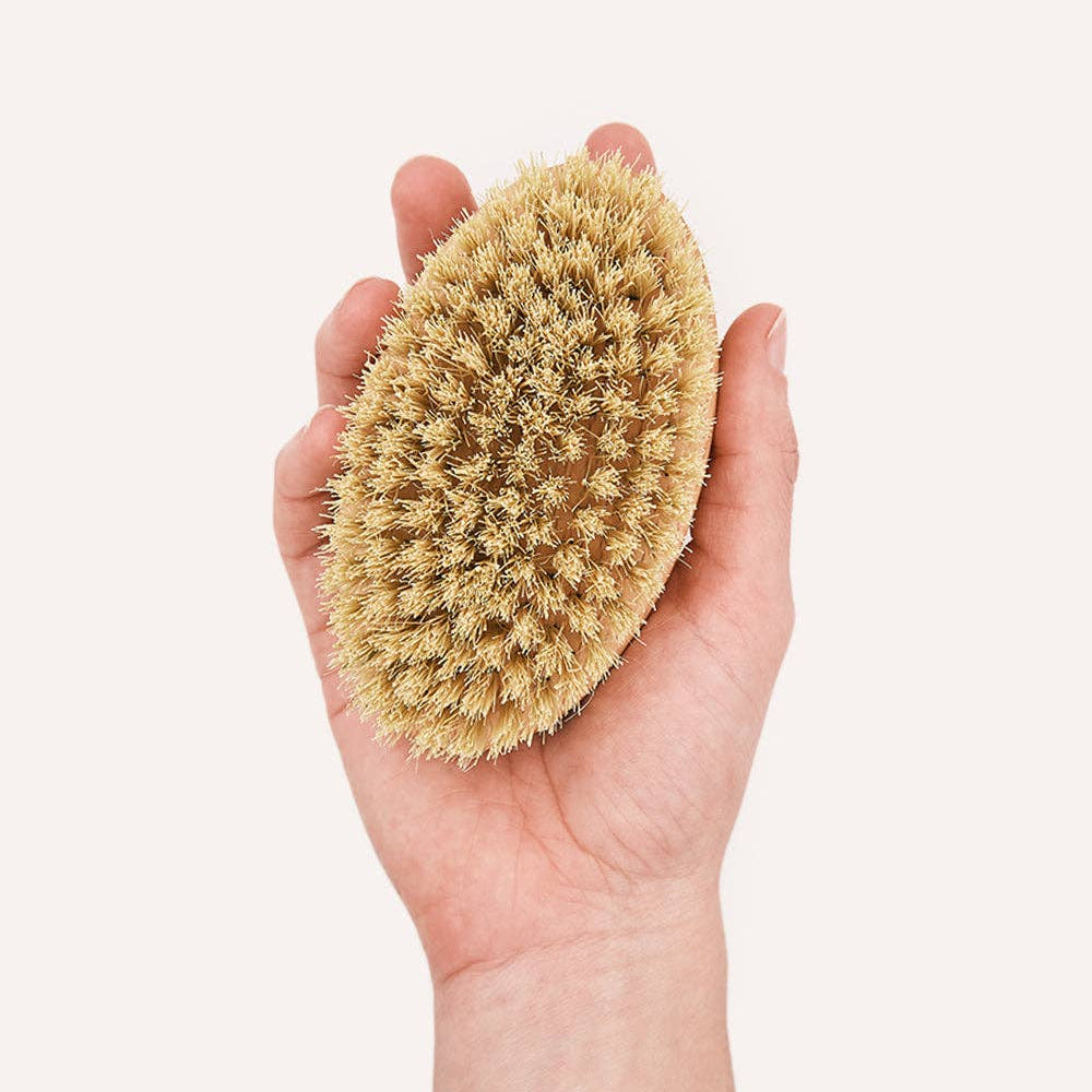 CAFIDE Teo-harja lyhytkarvaiselle koiralle