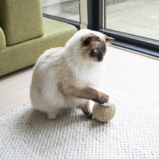 Hoopo Globes - leikkipallot