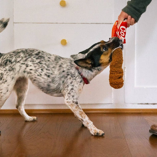 P.L.A.Y. Good Boy Cola - koiran lelu