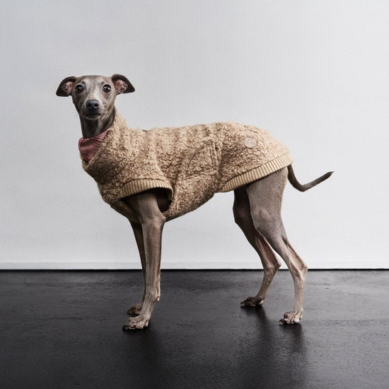 CLOUD7 Gotland - koiran pusero, hiekka