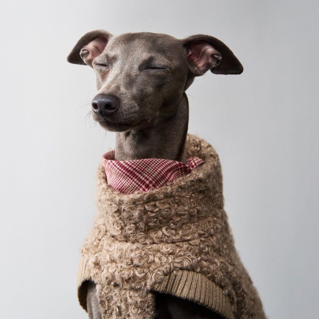 CLOUD7 Gotland - koiran pusero, hiekka