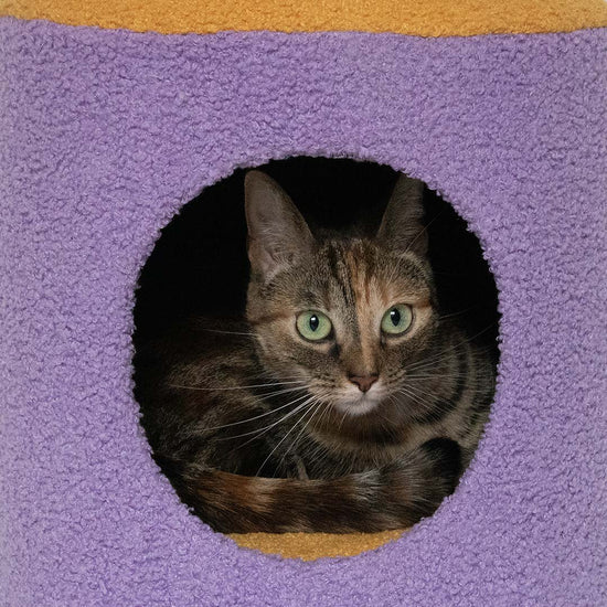 Coockoo Happy House - kissan pesä, violetti