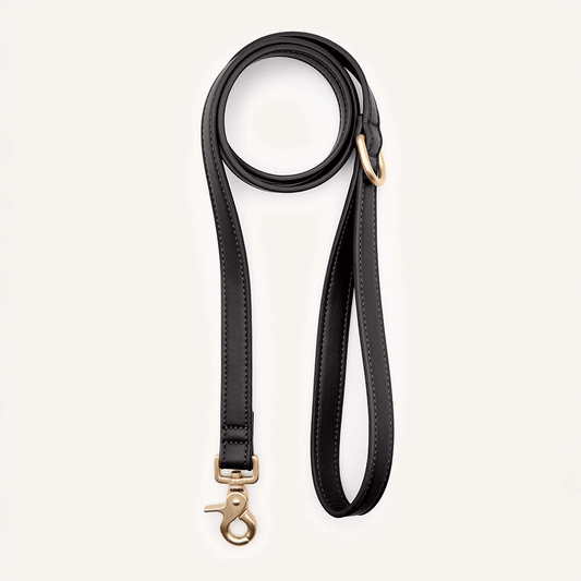 CAFIDE Jala - talutin, musta