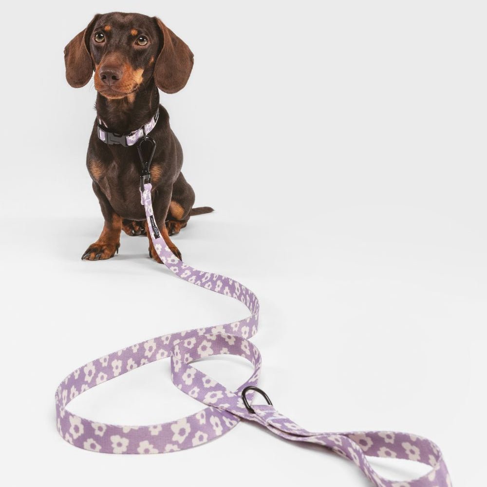 CAFIDE Juno - kierrätetty PET kaulapanta, violetti kukka