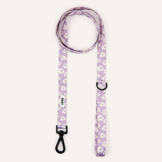 CAFIDE Juno - kierrätetty PET talutin, violetti kukka