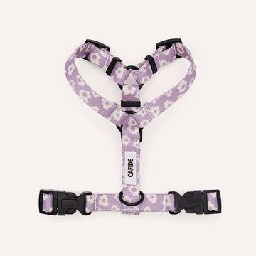 CAFIDE Juno - kierrätetty PET valjaat, violetti kukka