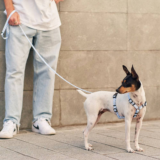 CAFIDE Juno - kierrätetty PET talutin, Vichy Blue