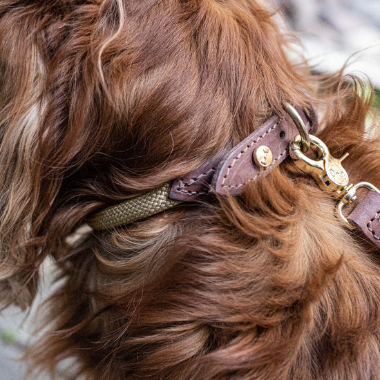 Torekov-kaulapanta, hiekka