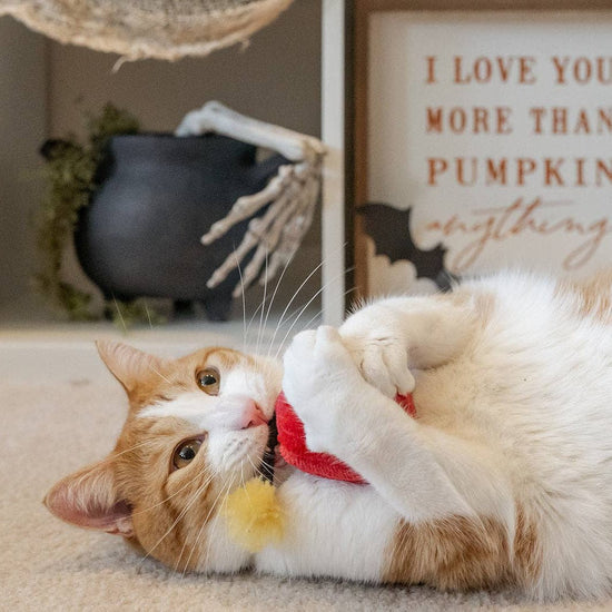 P.L.A.Y. Kitty - Boom - kissanminttulelusetti