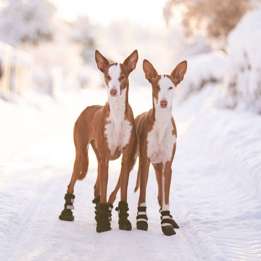 Rukka Pets Koiran fleece bootsit, 4 kpl