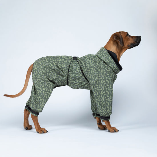 PAIKKA koiran sadehaalari, vihreä