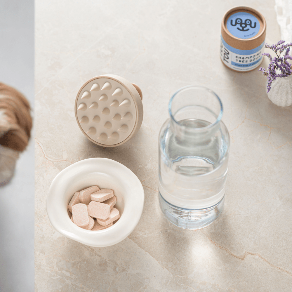 Toutou Petcare Koiran suihkuharja