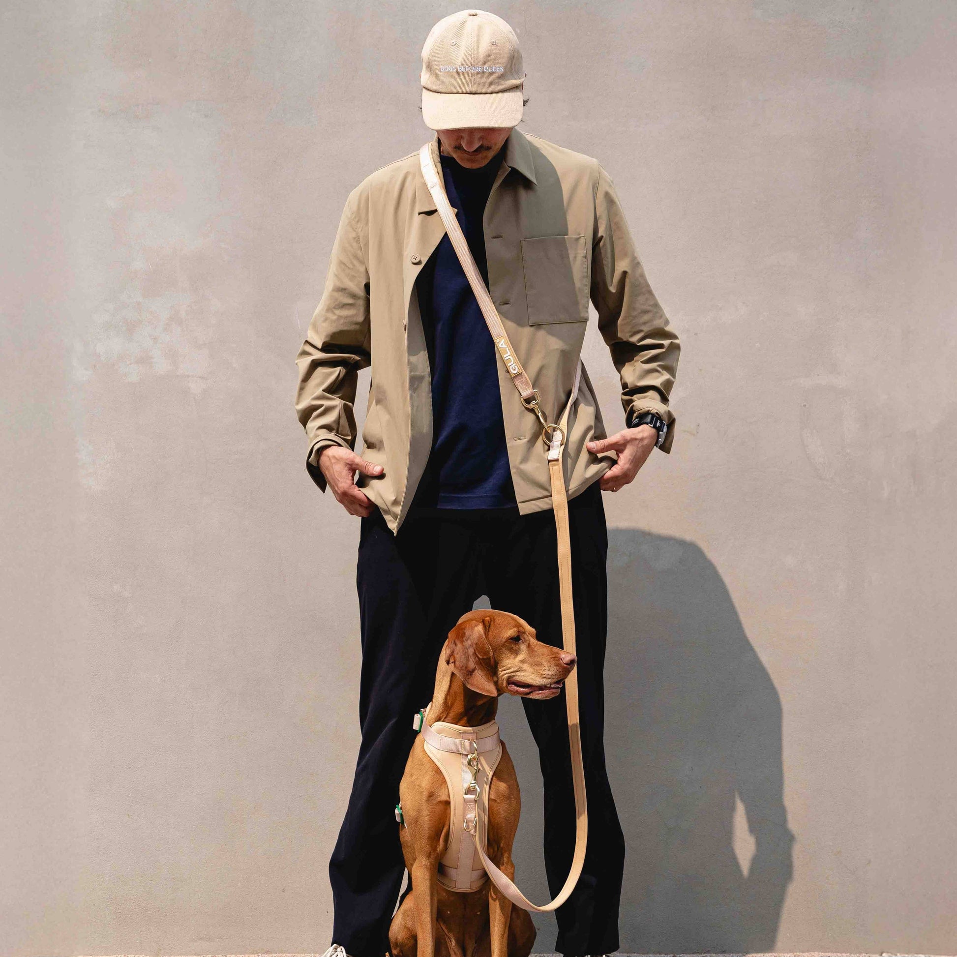 GULA DOG CARE Koiran talutin, beige