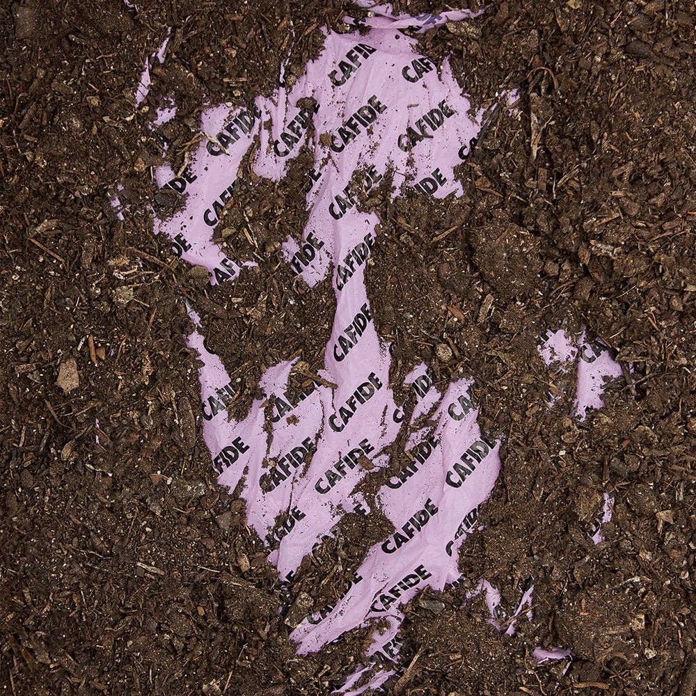 CAFIDE Lea - koirankakkapussit, laventeli