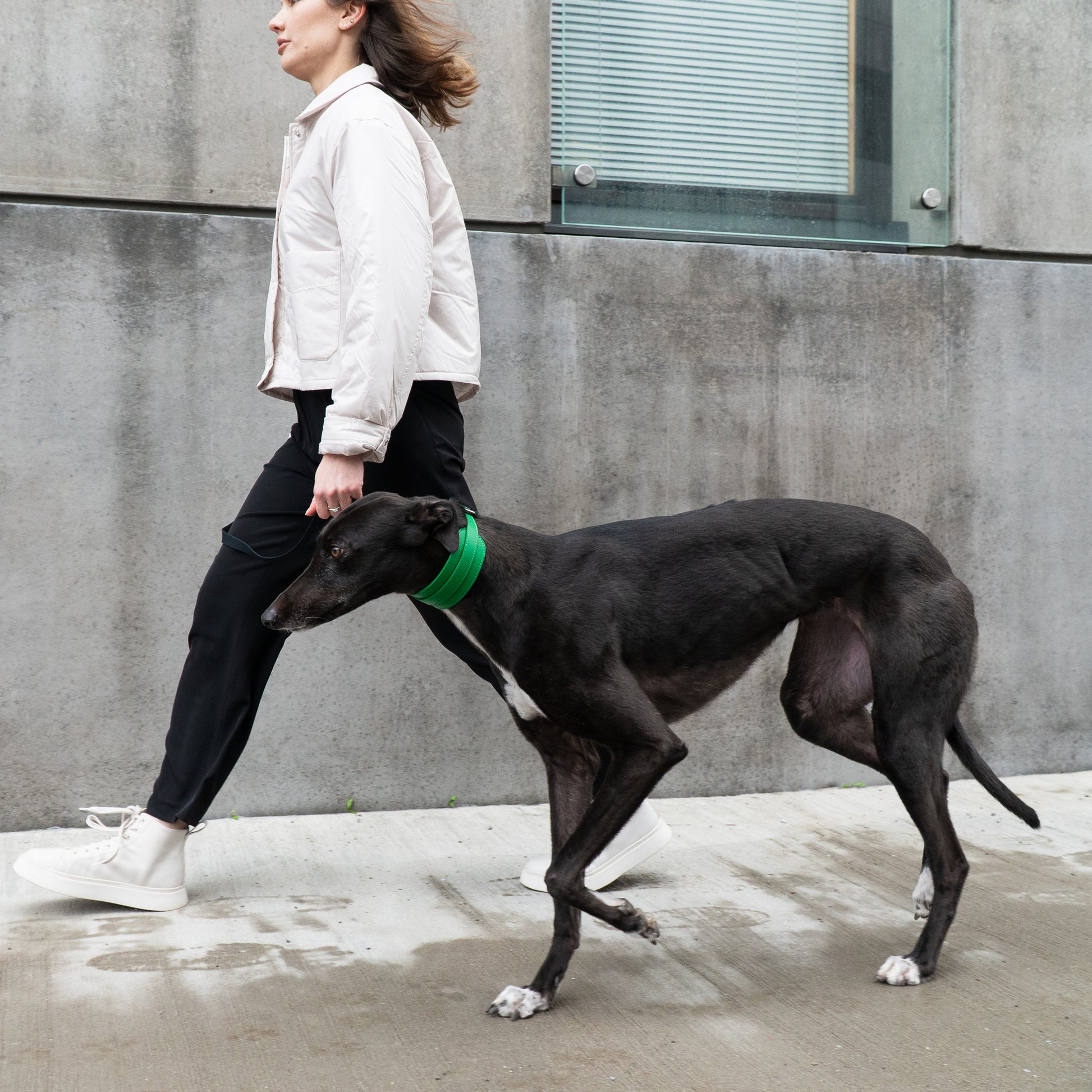 Masimalo leveä nahkapanta koiralle, vihreä