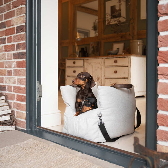 Lords and Labradors Matkustuskassi koiralle, vaaleanharmaa