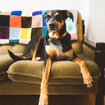 We are <em>RUFFY</em>