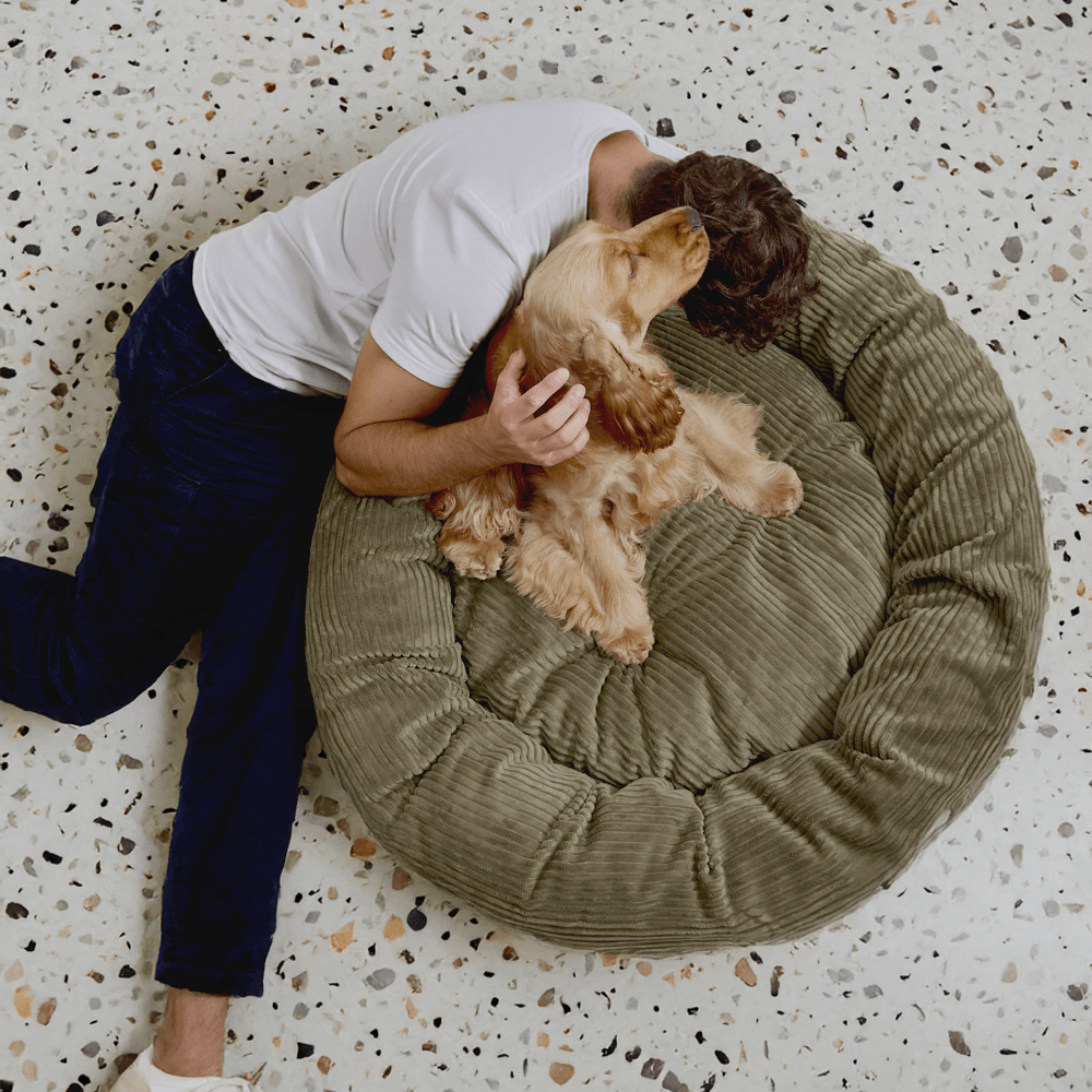 CAFIDE Nuba - lemmikin peti, vihreä