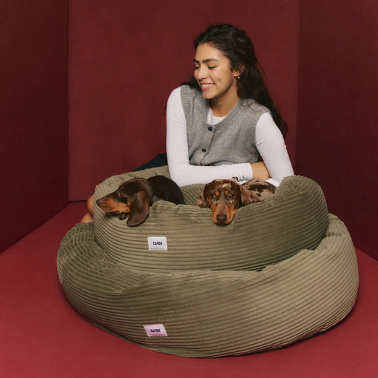 CAFIDE Nuba - lemmikin peti, vihreä