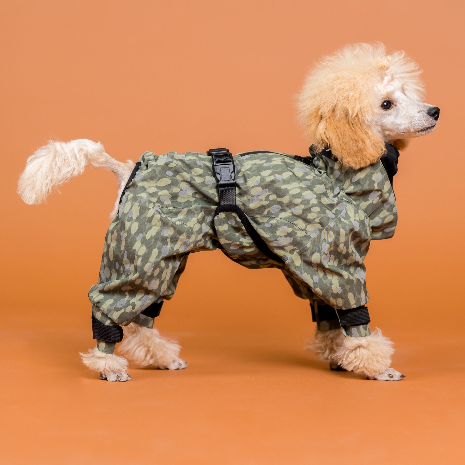 PAIKKA koiran sadehaalari, vihreä