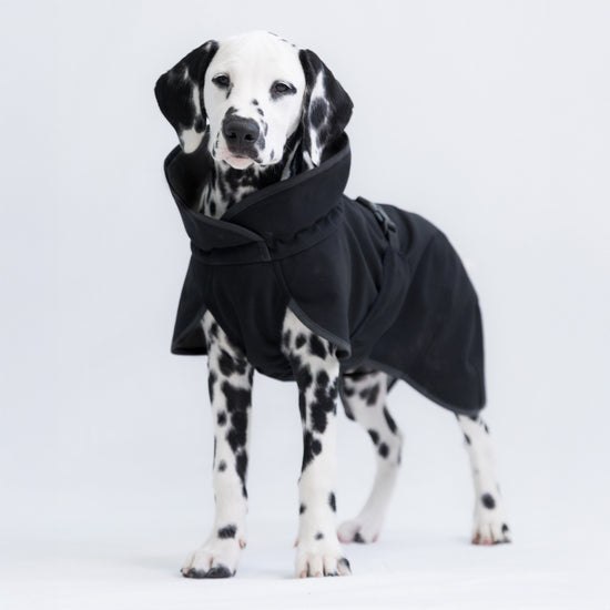 PAIKKA palauttava softshell-takki koiralle, musta