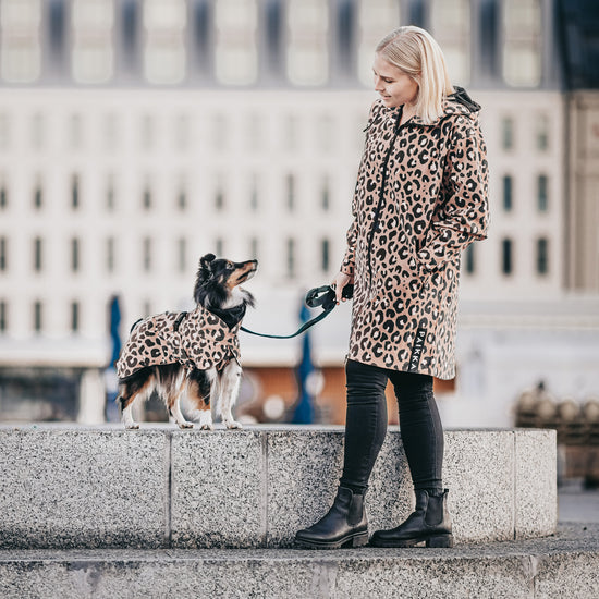 PAIKKA Visibility Lite -koiran heijastava sadetakki, Leo