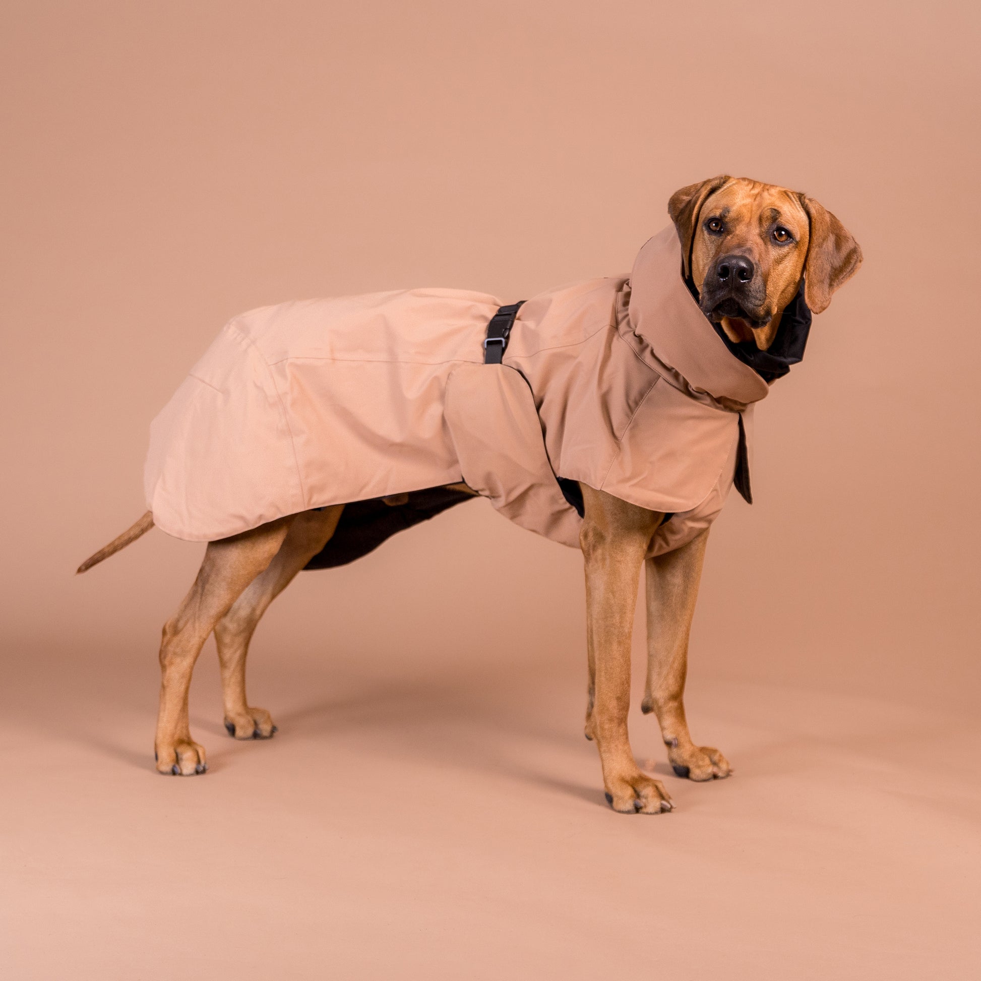 PAIKKA Visibility -heijastava talvitakki koiralle, taupe